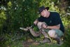 Robbie in his element - Showing a Gaboon Viper