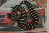 scale-less Death Adder